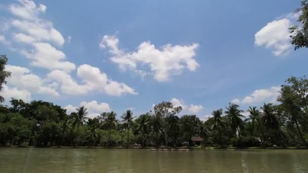 Gratte Ciel Dans Jardin Bangkok Time Lapse — Video