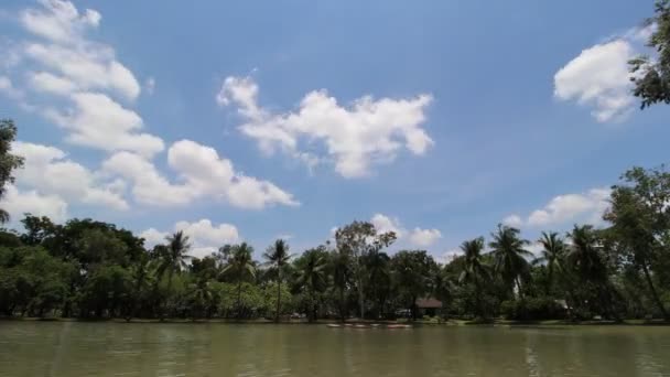 Skyscraper Bangkok Garden Time Lapse — Stock Video