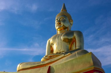 büyük altın buddha heykeli