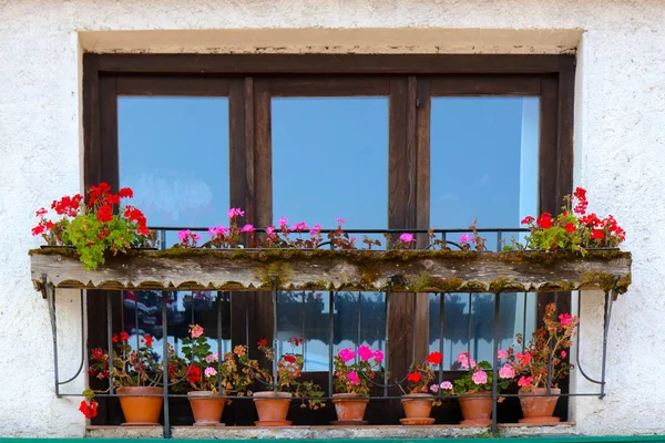 Schönes Fenster Mit Blumenkasten Oben Schweiz — Stockfoto