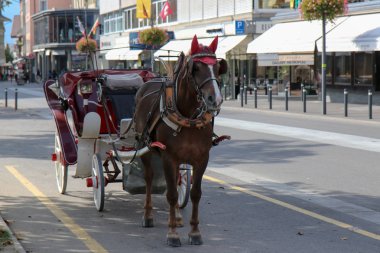 Oteller, restoranlar, dükkanlar ile Hoeheweg Bulvarı. ınterlaken