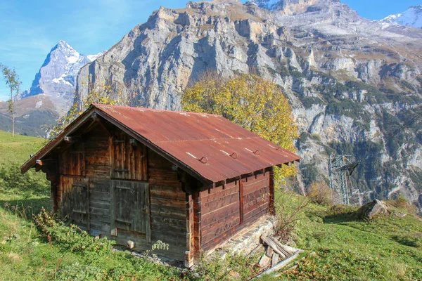 Ormanın ortasındaeski ahır