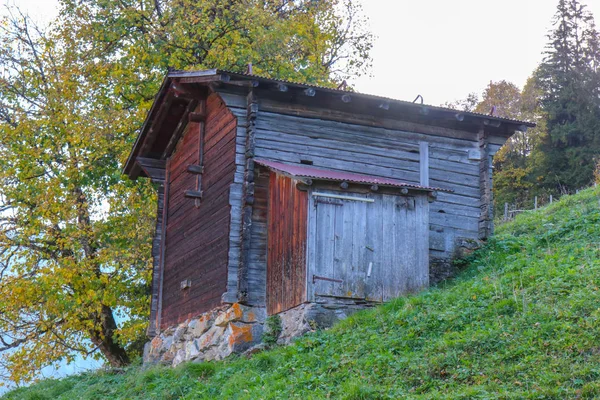 Oude schuur in het midden van het bos — Stockfoto