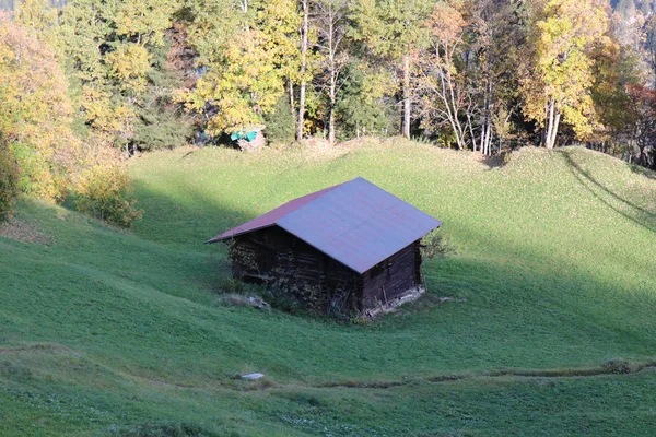 Alte Scheune mitten im Wald — Stockfoto