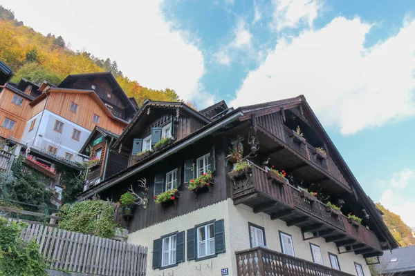 A view from the Buildings and nature