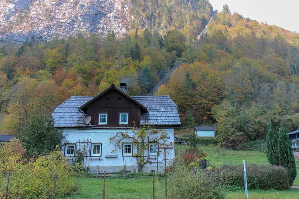 Una vista dagli edifici e dalla natura — Foto Stock