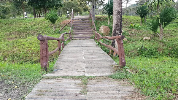 Calzada Camino Piedra Bosque Por Vegetación Bosque — Foto de Stock