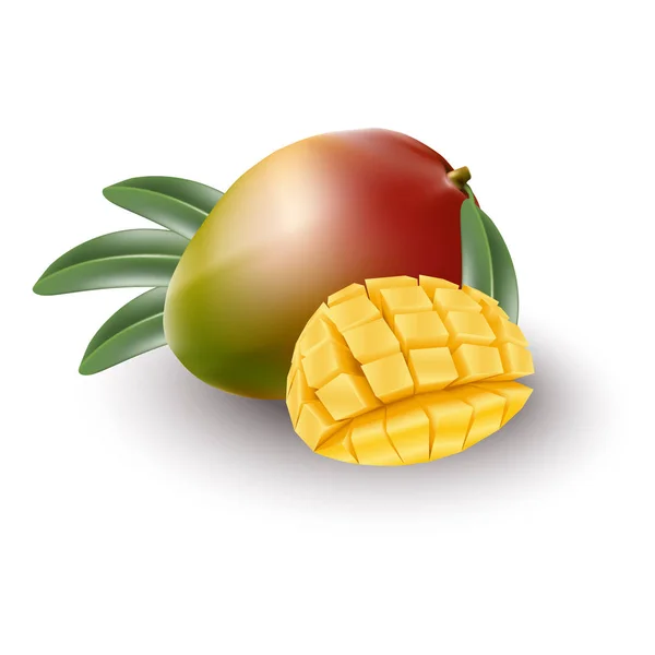 Vektorillustration Realistische Frische Und Scheiben Geschnittene Mango — Stockvektor