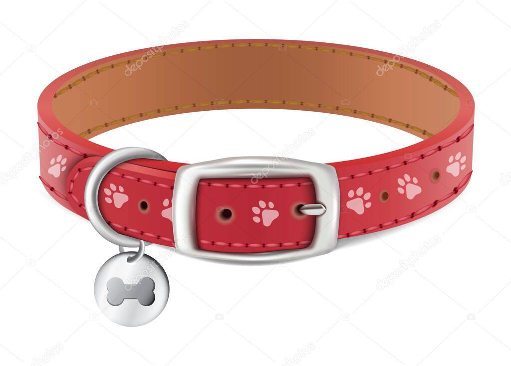 3d realistic vector dog or cat red collar with silver medal. Isolated on white background.