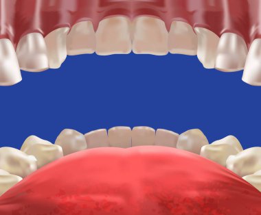 3D gerçekçi ağız boşluğu, içinde görünüm, perspektif tasarım, vektör çizim