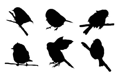 Memeli antika arka plan