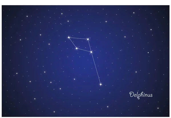 Constelación Delphinus Espacio Profundo — Vector de stock