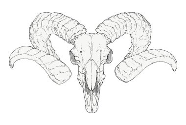 Çizilmiş keçi kafatası