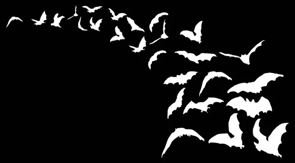 Morcegos Voadores Céu — Vetor de Stock