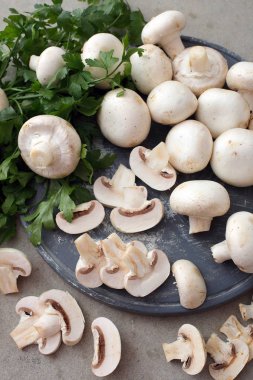 Taze champignon mantar kadar kapatın 