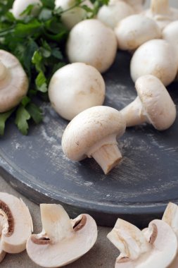 Taze champignon mantar kadar kapatın 