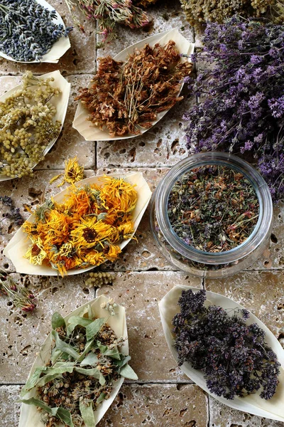 Különböző Típusú Gyógynövény Tea Tálak Háttér — Stock Fotó