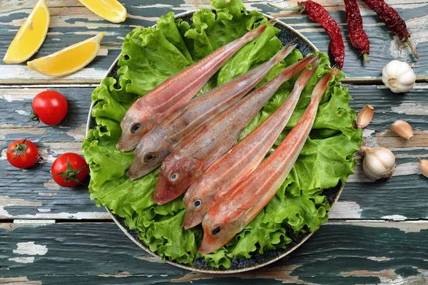 Raw Gurnard Fish Plate Green Salad — Stock Photo, Image