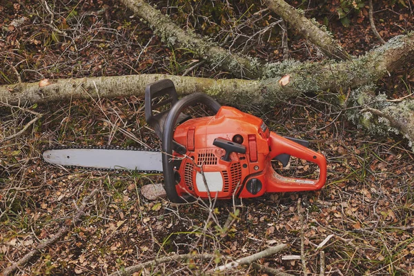 Motosega elettrica nella foresta . — Foto Stock