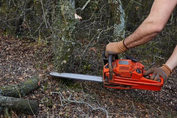 Uomo che taglia alberi usando una motosega elettrica nella foresta . — Foto Stock