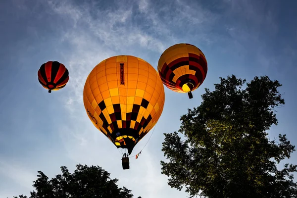 Balóny Létat Nad Stromy — Stock fotografie