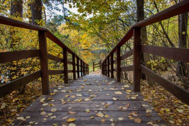 Göletli Autumn Park. Sudaki yansıma..