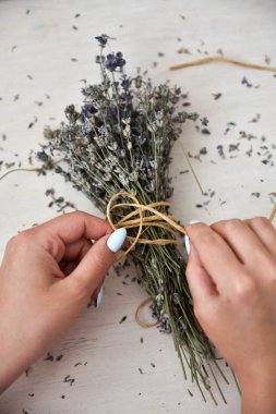 Kuru lavanta demet kız ellerini tutun.