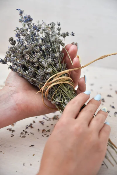 Flicka händer håll gäng torra lavendel. — Stockfoto