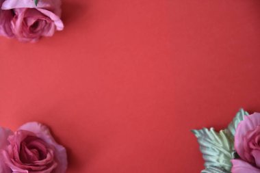 Kırmızı arka planda pembe güller. Sanat yumuşak odak