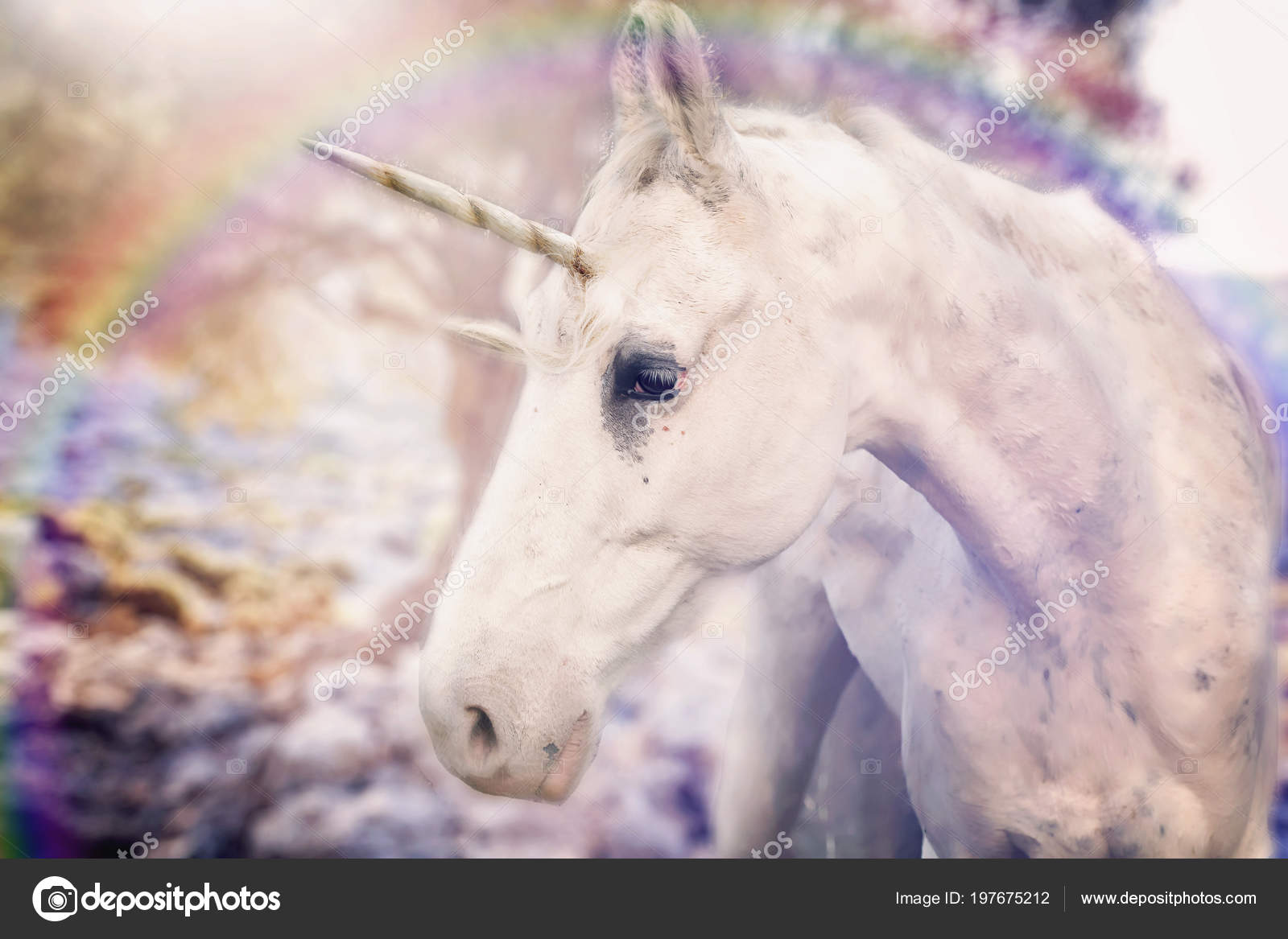 Real Unicorn Field Stock Photo by ©zoomarket 197675212