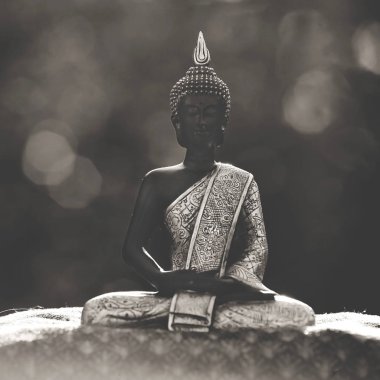 Zen lotus içinde oturan ve doğal ortamda meditasyon Buda heykeli