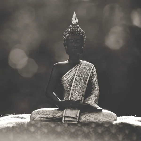 Buddha Szobor Zen Lotus Meditál Természetes Környezetben — Stock Fotó