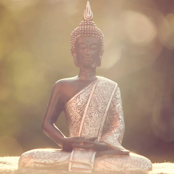 Statue Bouddha Assise Dans Lotus Zen Méditant Dans Environnement Naturel — Photo