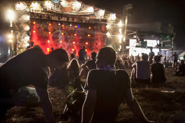 Kostrzyn Nad Odra Polen Augustus 2018 Woodstock Polen Rock Festival — Stockfoto