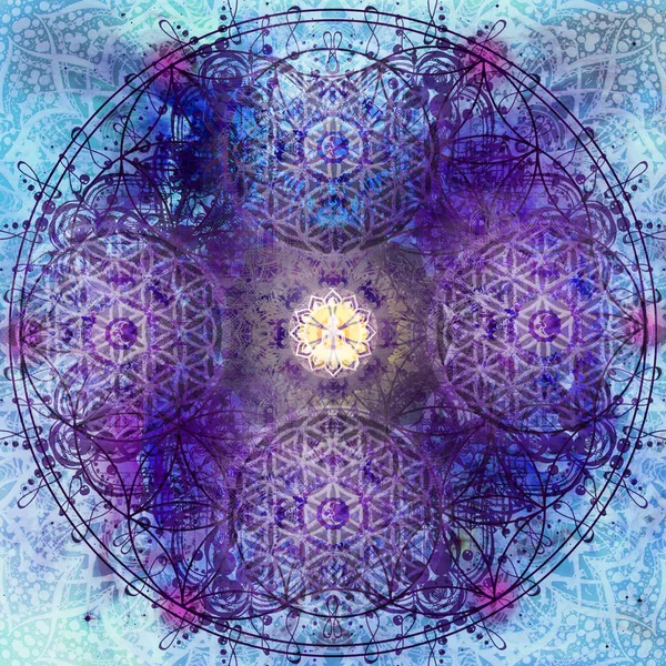 Abstracte Mandala Met Bloem Van Het Leven — Stockfoto