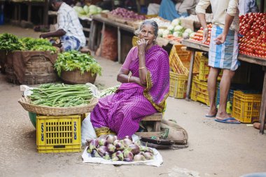 Udaipur, Rajasthan, Hindistan, 31 Ocak 2018: Sebze sellet genel city Market