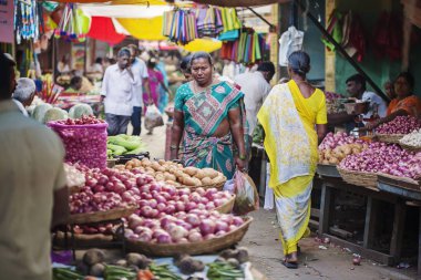 Udaipur, Rajasthan, Hindistan, 31 Ocak 2018: Genel city piyasa