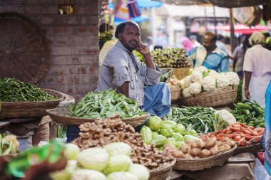Udaipur, Rajasthan, Hindistan, 31 Ocak 2018: Sebze sellet genel city Market