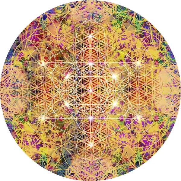 Абстрактная Мандала Цветком Жизни — стоковое фото