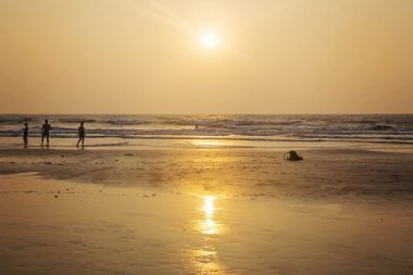 Arambol Goa, Hindistan, 6 Şubat 2019: Arambol plaj manzarası gün batımında