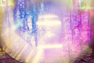 Renk bokeh ışık ile büyülü halüsinojenik soyut orman 