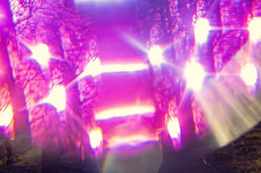 Renk bokeh ışık ile büyülü halüsinojenik soyut orman 