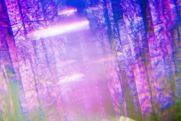 Magisk Hallucinogena Abstrakt Skog Med Färg Bokeh Ljus — Stockfoto