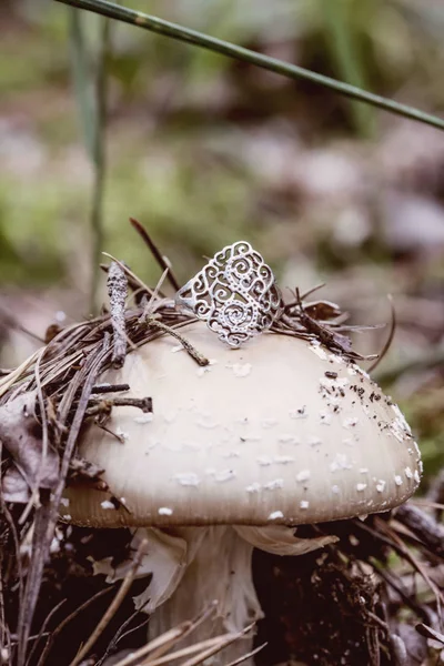 Stříbrný Prsten Umístěný Houby Podzimním Lese — Stock fotografie