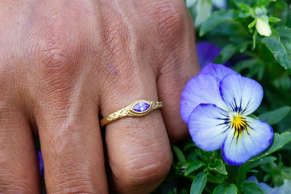 Anillo Ornamental Decorativo Metal Con Piedras Preciosas Amatista Tocando Plantas —  Fotos de Stock