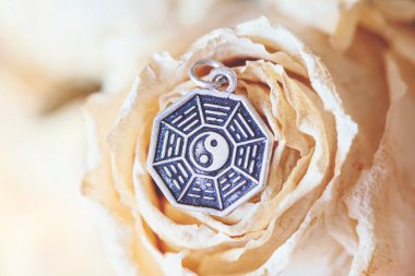 Saf gümüş kolyenin ayrıntıları Iting Jin Yang şeklinde.