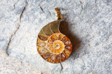 Gri kayalık arka planda Narutal Amonite kolyesi