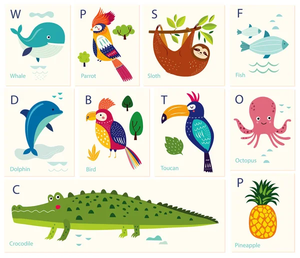 Cartões Cores Com Animais Alfabeto Ilustração Vetorial —  Vetores de Stock