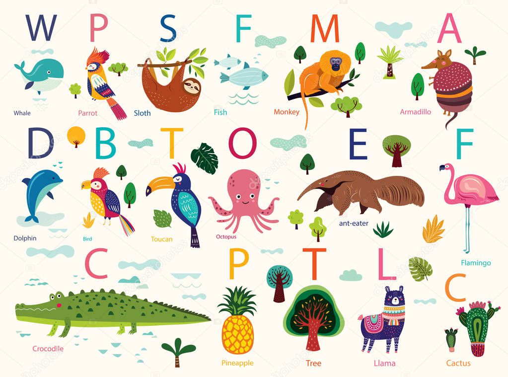 Set of color alphabet animals, vector illustration