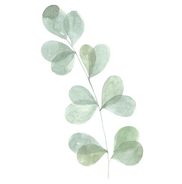 Akvarell Gröna Blad Isolerad Vit Bakgrund — Stockfoto